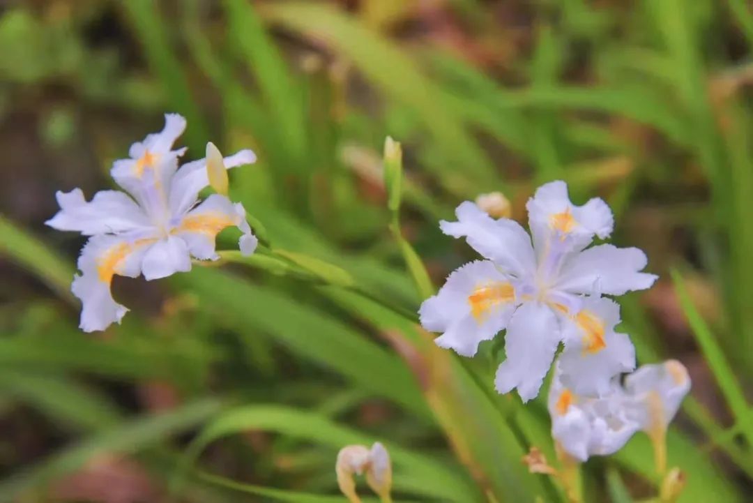 利来国国际(中国)最给力的老牌 - welcome