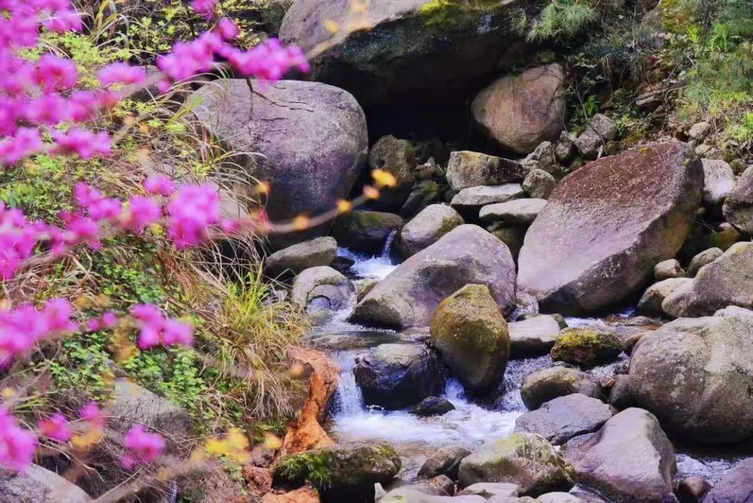 利来国国际(中国)最给力的老牌 - welcome