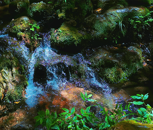 利来国国际(中国)最给力的老牌 - welcome